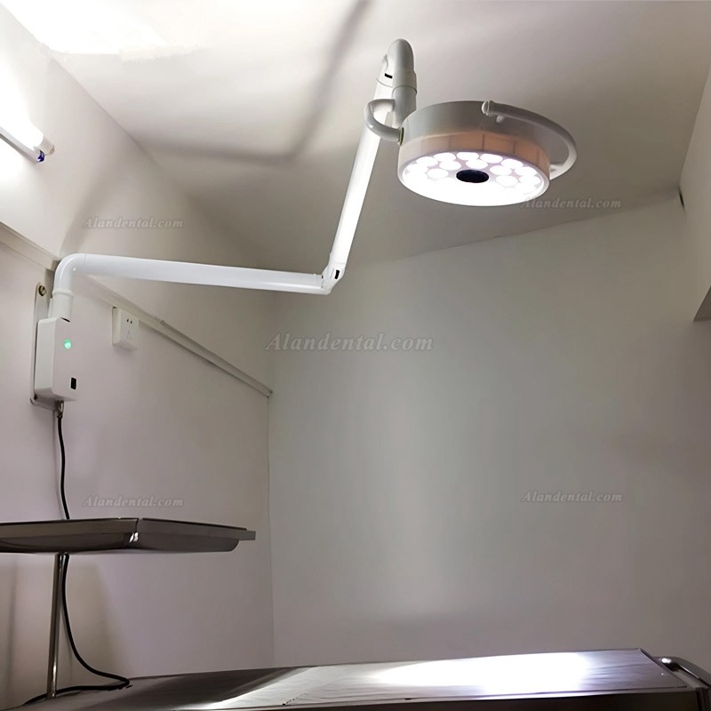 72W Dental Wall-Mounted Surgical Lamp 24 LEDs Dental Shadowless Operation Light